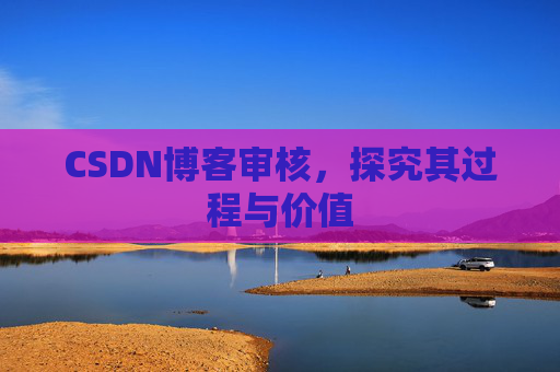 CSDN博客审核，探究其过程与价值